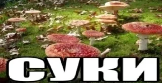 Sticker from для лучших.