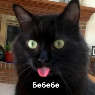 🤢 emoji с котиками Telegram sticker 17 of 22
