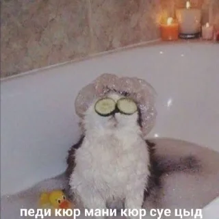 Sticker from идеальная подборочка
