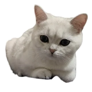 Sticker from Синя