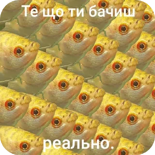 🐞 emoji Гурамі золотий | by @MrFaulpelz Telegram sticker 15 of 61