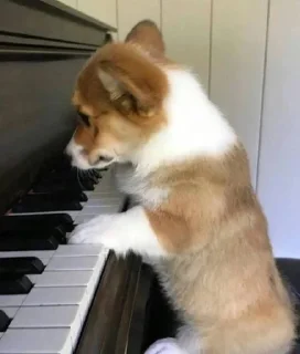 🤨 emoji Холодок Telegram sticker 15 of 34