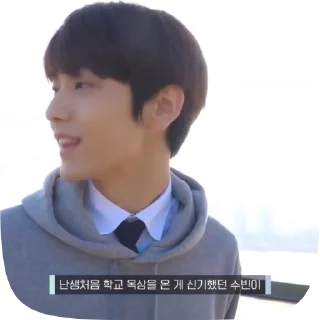 🎋 emoji soobin fr kn Telegram sticker 16 of 20