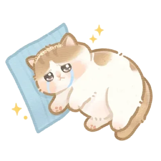 😭 emoji Котики / @Stick4GramProjects Telegram sticker 24 of 90