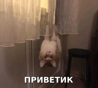 👋 emoji Вахуе Telegram sticker 9 of 80
