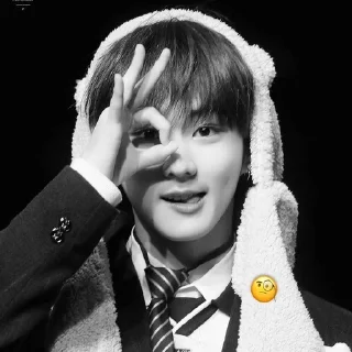 🌟 emoji Wonnie Telegram sticker 7 of 25