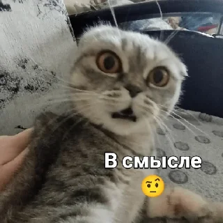 Sticker from ~Алиса агро~
