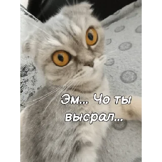 Sticker from ~Алиса агро~