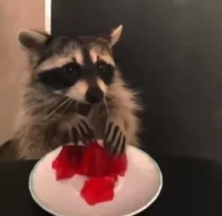 Sticker from raccoon <3
