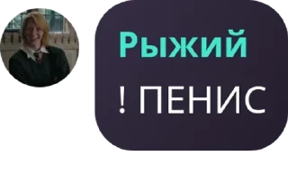 👨‍🦼 emoji ᴛᴀйный ᴨᴩиᴛон хоᴦʙᴀᴩᴛᴄᴀ pack by @QuotLyBot Telegram sticker 19 of 120