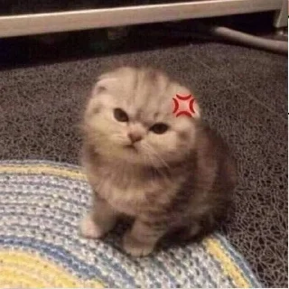 😡 emoji kitty Telegram sticker 4 of 62