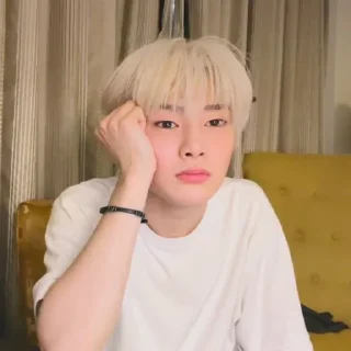 😱 emoji //Jeongin mood//! ➡️ @Ctikerubot Telegram sticker 17 of 69