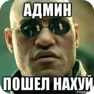 Sticker from мои стикеры