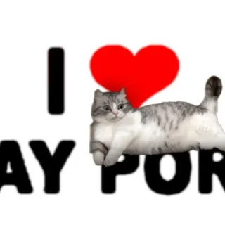 Sticker from мои стикеры