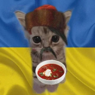 Sticker from мемные котики от @moh_lopyh