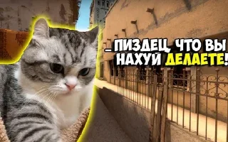 ❓ emoji Больше стикеров: @sticerru Telegram sticker 6 of 54