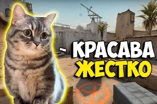 👍 emoji Больше стикеров: @sticerru Telegram sticker 3 of 54