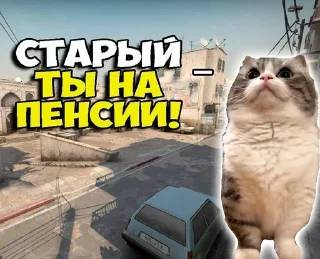 👨‍🦳 emoji Больше стикеров: @sticerru Telegram sticker 7 of 54