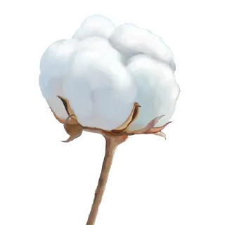 😺 emoji Всяка дічь — @stckrRobot Telegram sticker 12 of 120