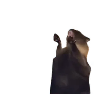Sticker from tiktok meme