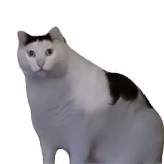 Sticker from tiktok meme