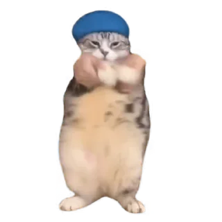 Sticker from tiktok meme