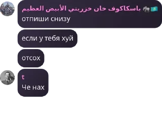 🤹‍♀️ emoji ХМБ | Ханство Малых Баскаков pack by @QuotLyBot Telegram sticker 17 of 120