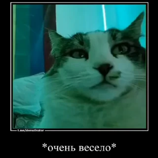 😜 emoji Любимые огурчика ➡️ @Ctikerubot Telegram sticker 24 of 51
