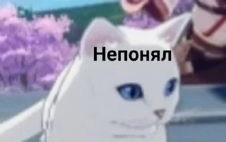 🤨 emoji Кошка и казах Telegram sticker 9 of 12