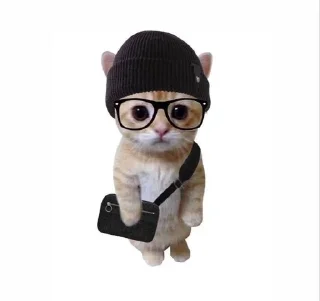 🌟 emoji котикии🐈 Telegram sticker 9 of 10