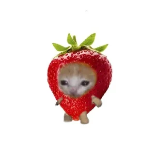 🌟 emoji котикии🐈 Telegram sticker 6 of 10