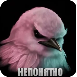 🐦 emoji Фразочкi Telegram sticker 7 of 36