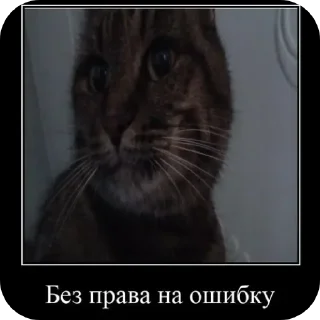 Sticker from кузя @BobrikLega2