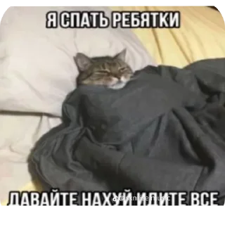 👍 emoji РОСТИК ЕБАНЫЙ ПИДОРАС, ПЕТУХ, ГОНДОН, БЕЗ ЧЛЕНА Telegram sticker 14 of 14