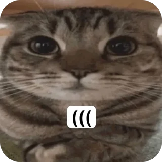 🫥 emoji KEVIN SUKA ➡️ @Ctikerubot Telegram sticker 15 of 23