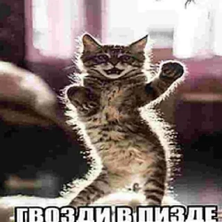 Sticker from 7-8 причин Броуновского движения