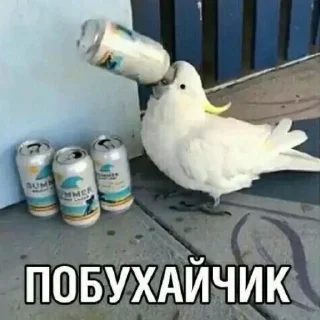 🍻 emoji спиртстмены🍾🍻 Telegram sticker 17 of 17
