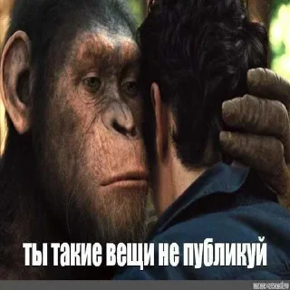 ☺️ emoji гав гав ➡️ @Ctikerubot Telegram sticker 13 of 53