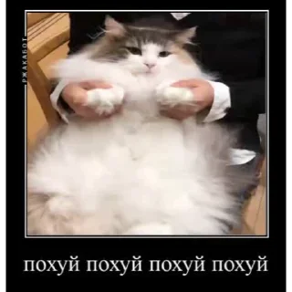 🤿 emoji Лучьше стикеры - @lovesticers Telegram sticker 20 of 40