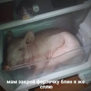 Sticker from с любовью от меня