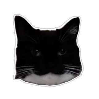 🐱 emoji плюшкин пак епты Telegram sticker 9 of 63