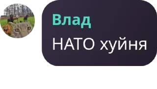 🏊 emoji ІМ-3Х 🇺🇦 pack by @QuotLyBot Telegram sticker 12 of 114