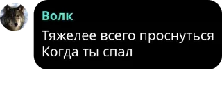🪳 emoji Цитаты Волка pack by @QuotLyBot Telegram sticker 12 of 54