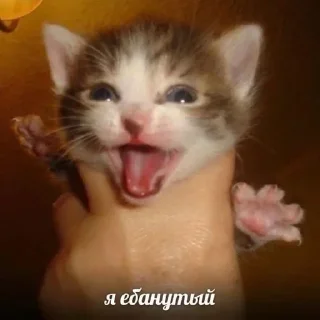 😈 emoji @sticksbb <— больше стиков💓💘💞 Telegram sticker 2 of 120