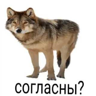 🤔 emoji НСВП — @stckrRobot Telegram sticker 21 of 120