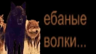 🐺 emoji НСВП — @stckrRobot Telegram sticker 20 of 120