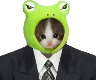 🐱 emoji tresh moments Telegram sticker 18 of 54