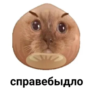 👍 emoji Пак долбаёба Telegram sticker 22 of 30