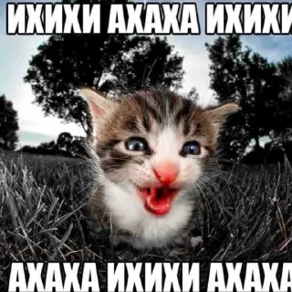 😂 emoji Больше стиков тут: @stickery_stickers Telegram sticker 11 of 120