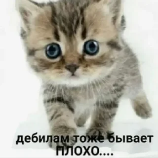 🤯 emoji Больше стиков тут: @stickery_stickers Telegram sticker 19 of 120